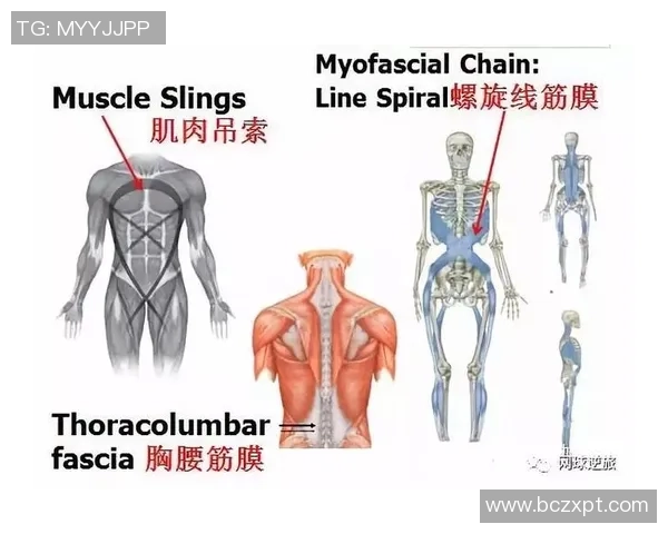北京网球队技术深度解析与训练方法探讨